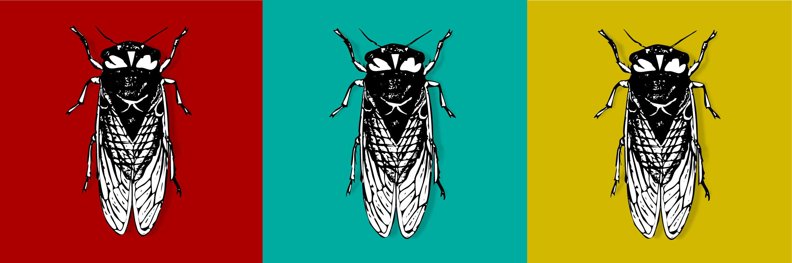 The Cicada Principle and Why It Matters to Web Designers (updated)